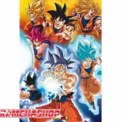 Dragon Ball Z - Poster Goku Transformations - Grand Format