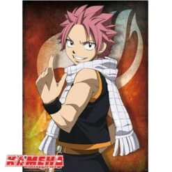 Poster Natsu